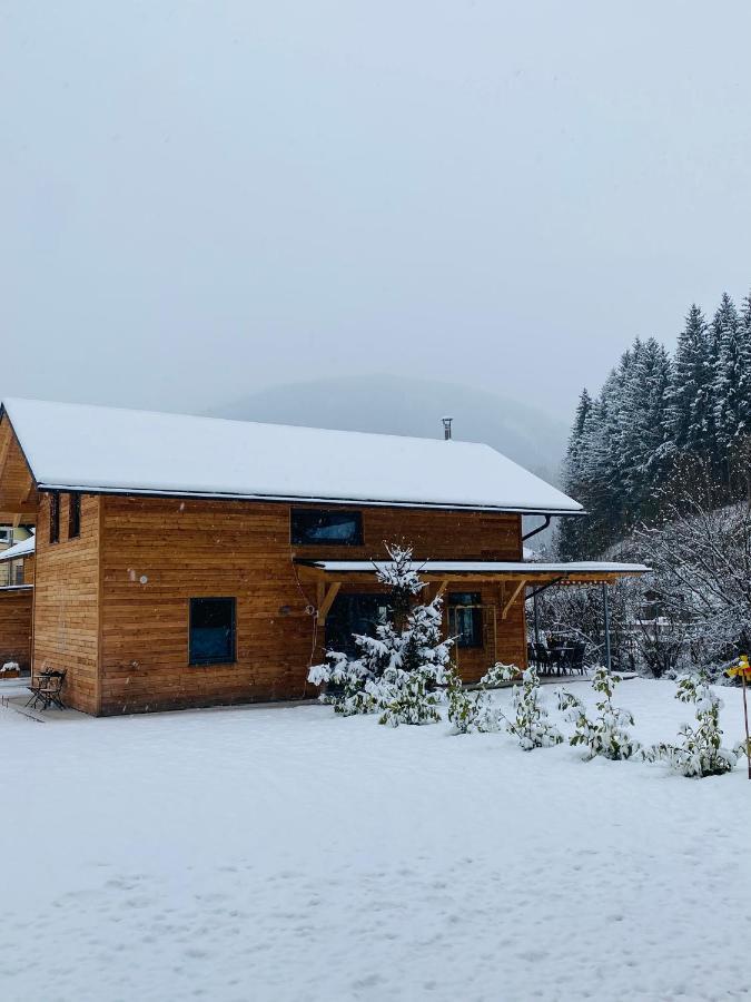 Chalets Lunz Am See Exterior photo